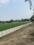 The Royal Green Noida Sector 148 Main Image 1