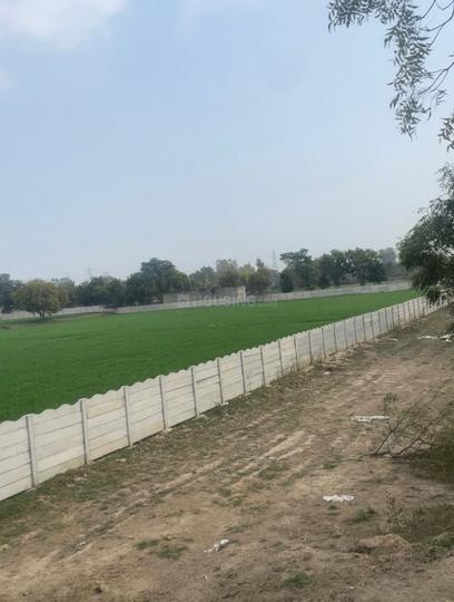 The Royal Green Noida Sector 148 Main Image 1