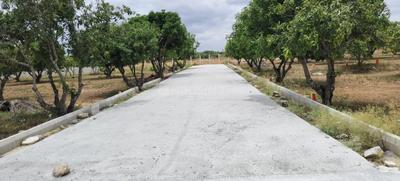 Image of 9529 Sq.ft Residential Plot / Land for sale in Srinivaspur Rural, Kolar for Rs. 5717400