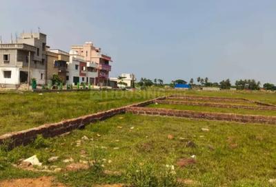 Patrapada Plot View 2