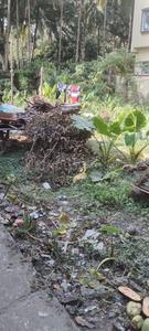 Rajarhat Chowmatha Plot View 1
