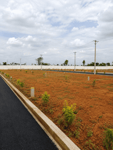 Image of 1200 Sq.ft Residential Plot / Land for sale in Thiruverumbur, Tiruchirappalli for Rs. 1840000