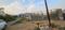 Thano Plot View 2