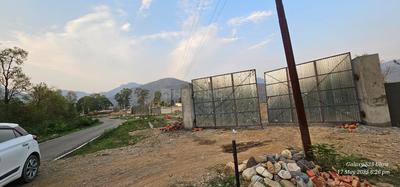 Thano Plot View 2