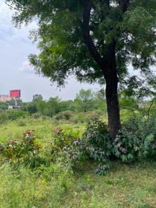 RIICO Industrial Area Plot View 2