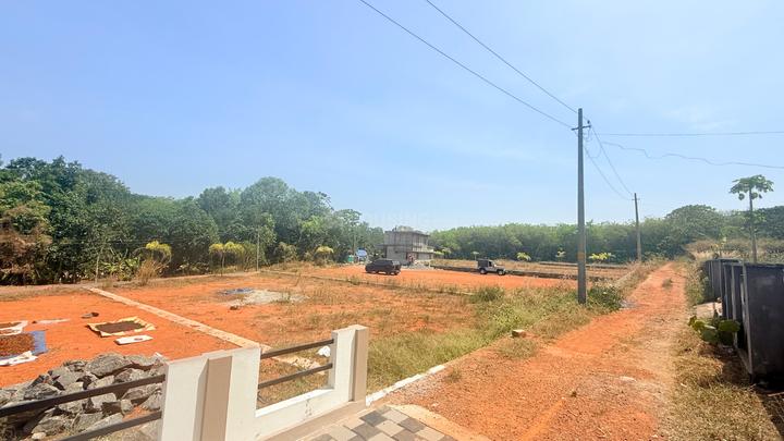 Chottanikkara Main Image 1