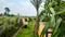 BRIJDHAM RESIDENCY KONI Plot View 2