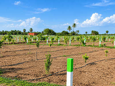 Image of 9600 Sq.ft Residential Plot / Land for sale in Chengalpattu, Chennai for Rs. 2400000