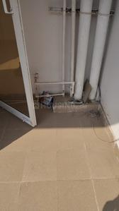Image of 450 Sq.ft 1 BHK Apartment / Flat for rent in ROF Amaltas, Sector 92, Gurgaon for Rs. 12700
