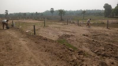 Residential Plot