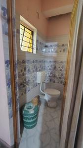 Image of 950 Sq.ft 2 BHK Apartment / Flat for rent in Benachity, Durgapur for Rs. 14000