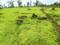 NA PLOTS OZAR BY ESHWARI PROPERTY Main Image 1