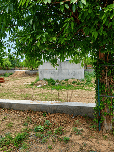 Sector 151 Plot View 3