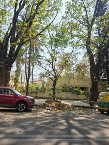 Pattabhirama Nagar Plot View 2