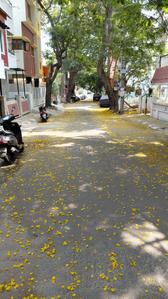 Image of 2600 Sq.ft 5 BHK Independent House for sale in Sanjaynagar, Bengaluru for Rs. 31500000