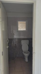 Bathroom Image of 850 Sq.ft 2 BHK Apartment / Flat for rent in Kumbalgodu Bengaluru for Rs. 10000