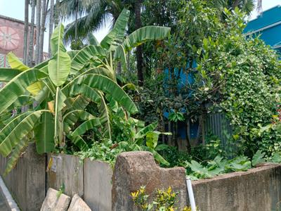 Passage Image of 1100 Sq.ft Residential Plot / Land for sale in Subhasgram Kolkata for Rs. 2700000