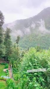 Image of 7560 Sq.ft 4.5 BHK Villa for sale in Mukteshwar, Nainital for Rs. 39000000