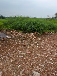 Nest Valley Internal Roads 2