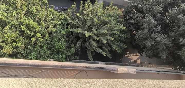 Sector 14 Main Image 1