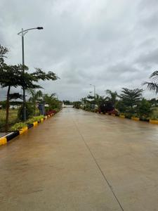Thyme Park Plot View 2
