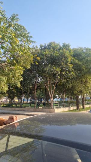 RPS City Main Image 1