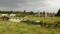 Eg garden  Plot View 2