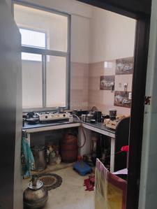 Kitchen Image of 720 Sq.ft 2 BHK Independent House for sale in Samrathpura Rural Sikar for Rs. 4500000