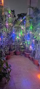 Image of 1150 Sq.ft 2.5 BHK Apartment / Flat for sale in Eisha Empire, Hadapsar, Pune for Rs. 8500000