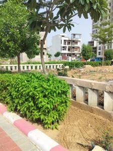 Image of 1650 Sq.ft Residential Plot / Land for sale in Galaxy Star City, Goner, Jaipur for Rs. 4500000