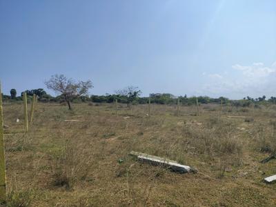 Moolacheri Plot View 2