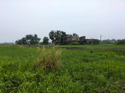 Wander Valley Plot View 1
