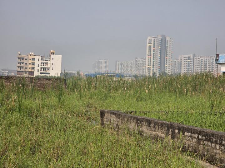 Shree plot Main Image 1