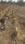 Konark Sun City P1 Main Image 1