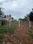 V S Mani Nagar Main Image 1