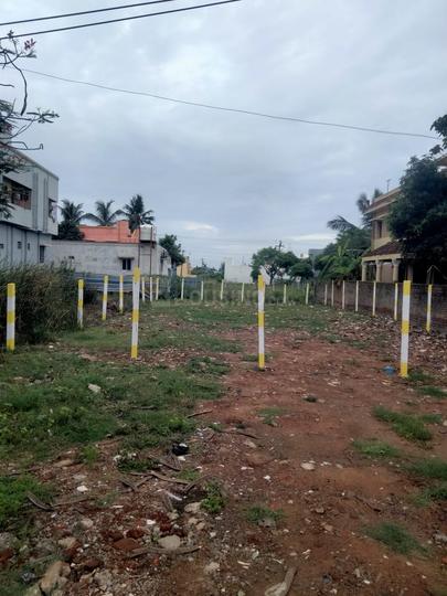 V S Mani Nagar Main Image 1