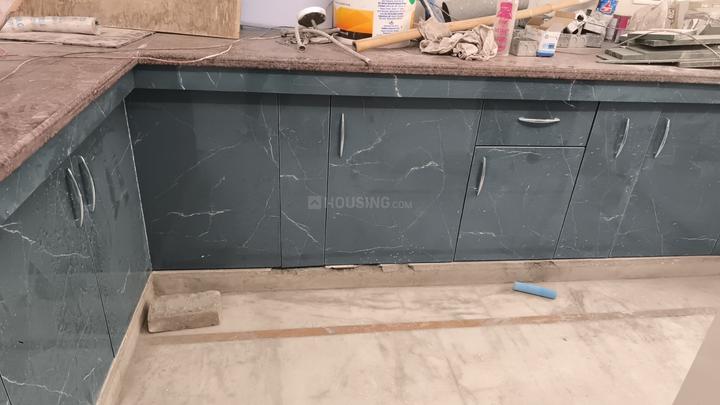 Niho Jasmine Scottish Garden Main Image 1