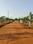 Surya highway gold Plot View 2