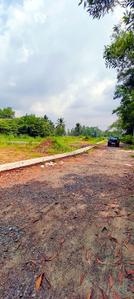 Residential Plot