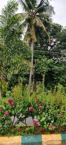 Residential Plot