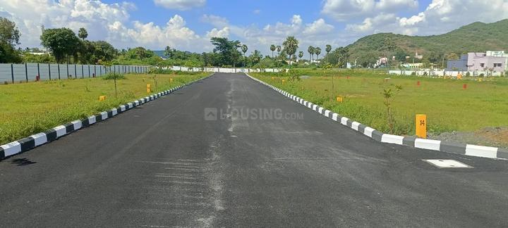 SPRING DALE Main Image 1