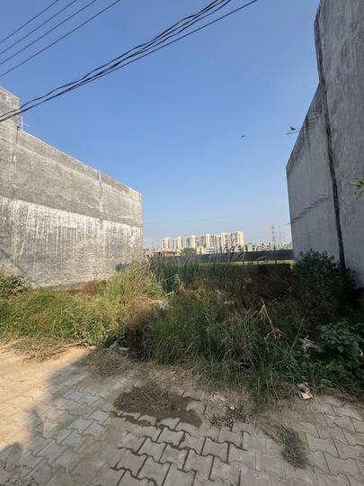 Sec 115 Mohali Near Green wood Main Image 1