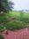 Scheme No 140 Plot View 2