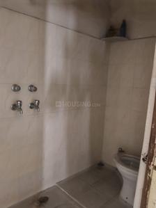 Bathroom Image of 1350 Sq.ft 2 BHK Builder Floor for rent in Sunder Nagar Raipur for Rs. 12000
