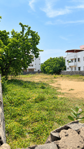 Residential Plot