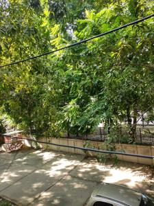 Balcony Image of 341 Sq.ft 1 RK Apartment / Flat for sale in Sector 16 Faridabad for Rs. 2500000