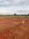 Shadnagar Plot View 2