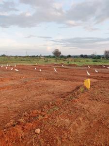 Shadnagar Plot View 2