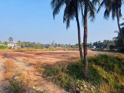 Agricultural Land
