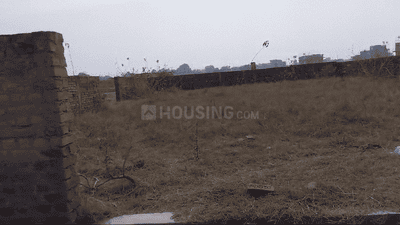 Hatia Plot View 3